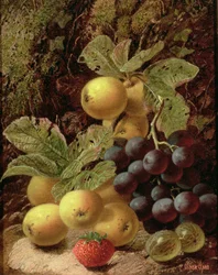 Ainda vida com maçãs, uvas, morango e groselha